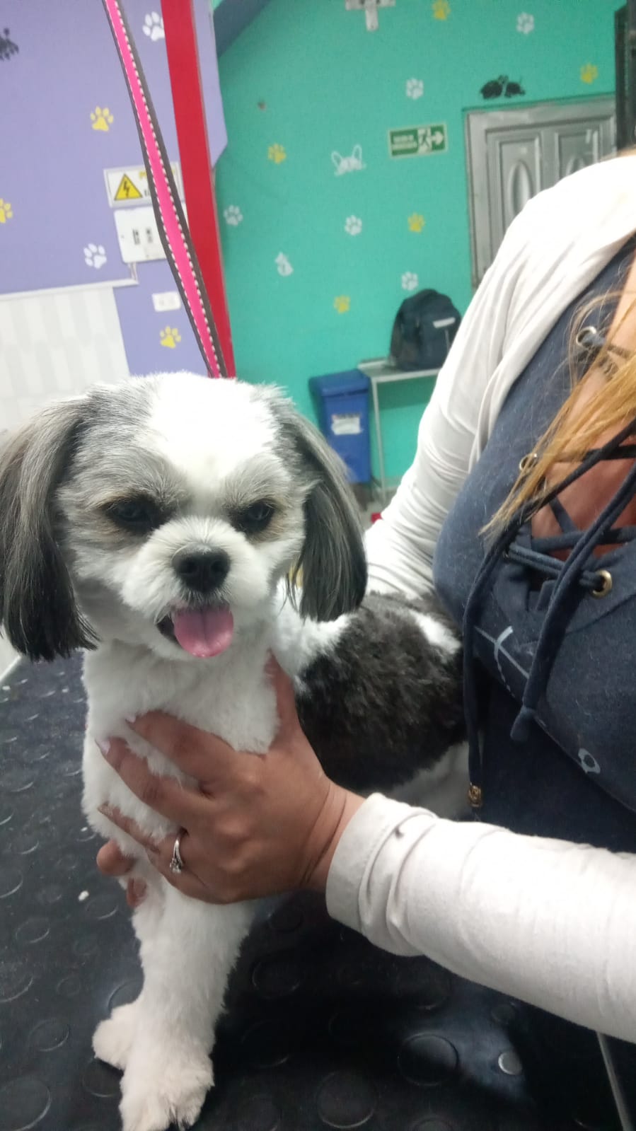 Resultado final del servicio